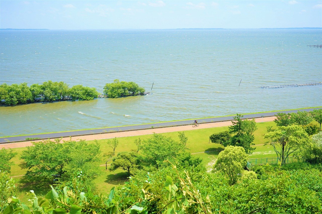 🏞️ 카스미가우라 종합 공원(카스미가우라 소고 코엔) 이미지 8